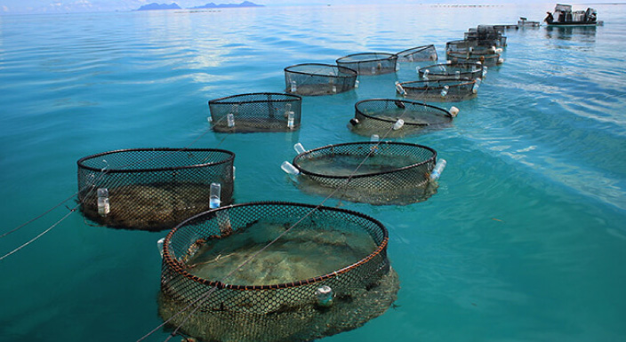 Aquaculture-Fisheries-03