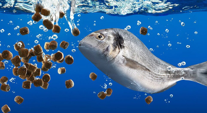 Aquaculture-Fisheries-04